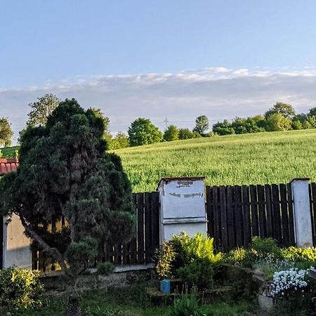 Chalupa U Rybnika Strehom Dolní Bousov Exterior foto