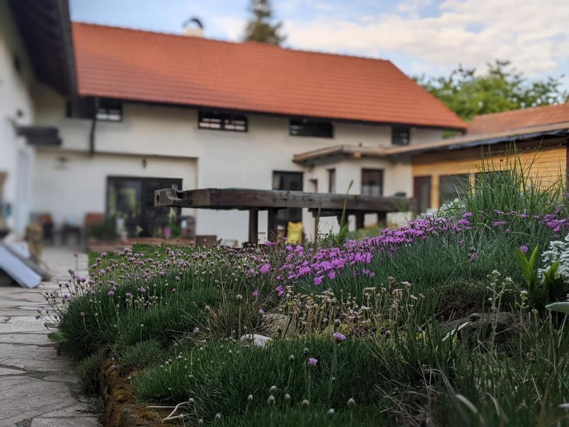 Chalupa U Rybnika Strehom Dolní Bousov Exterior foto